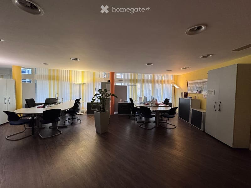 Modern office space with wooden flooring, large windows with vertical blinds, multiple tables and chairs arranged for meetings, a potted plant, and office furniture including cabinets and filing cabinets.