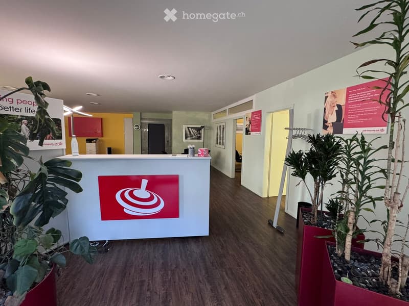 Wooden floor, modern design desk, red potted plants, entrance signage with logo, bright lighting, minimalist decor, open hallway, yellow walls, glass doors, minimalistic art