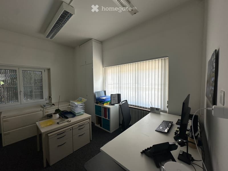 Office space with two desks, one with a computer setup and the other with a printer and filing cabinet, a chair, and a small plant on the desk.
