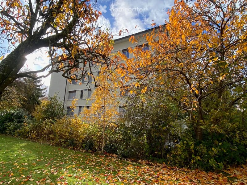 A well-maintained garden with a large tree, shrubs, and a multi-story building in the background.