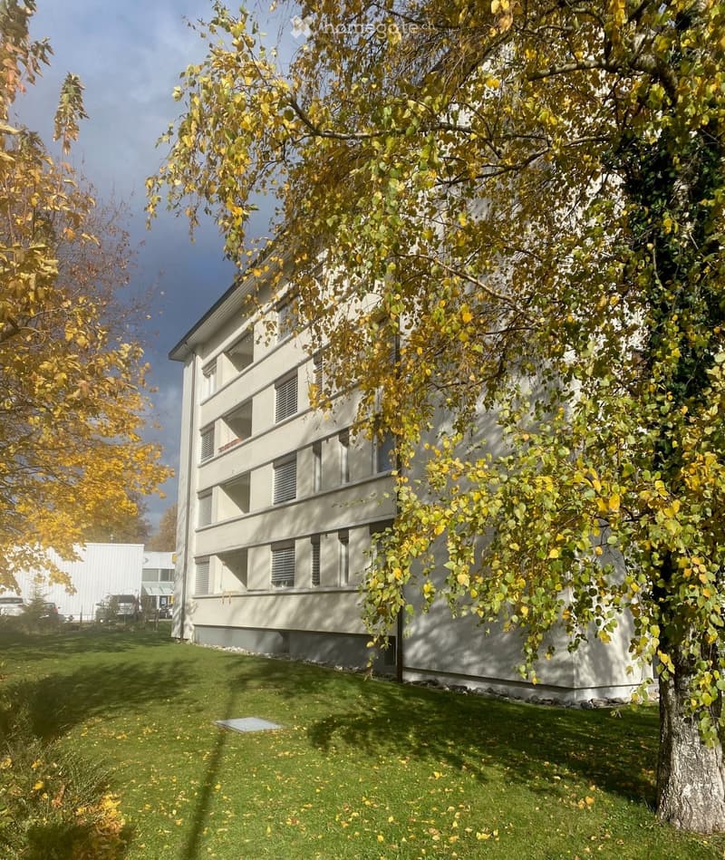 A modern, multi-story building with white walls and large windows, surrounded by autumn trees and a well-maintained lawn.