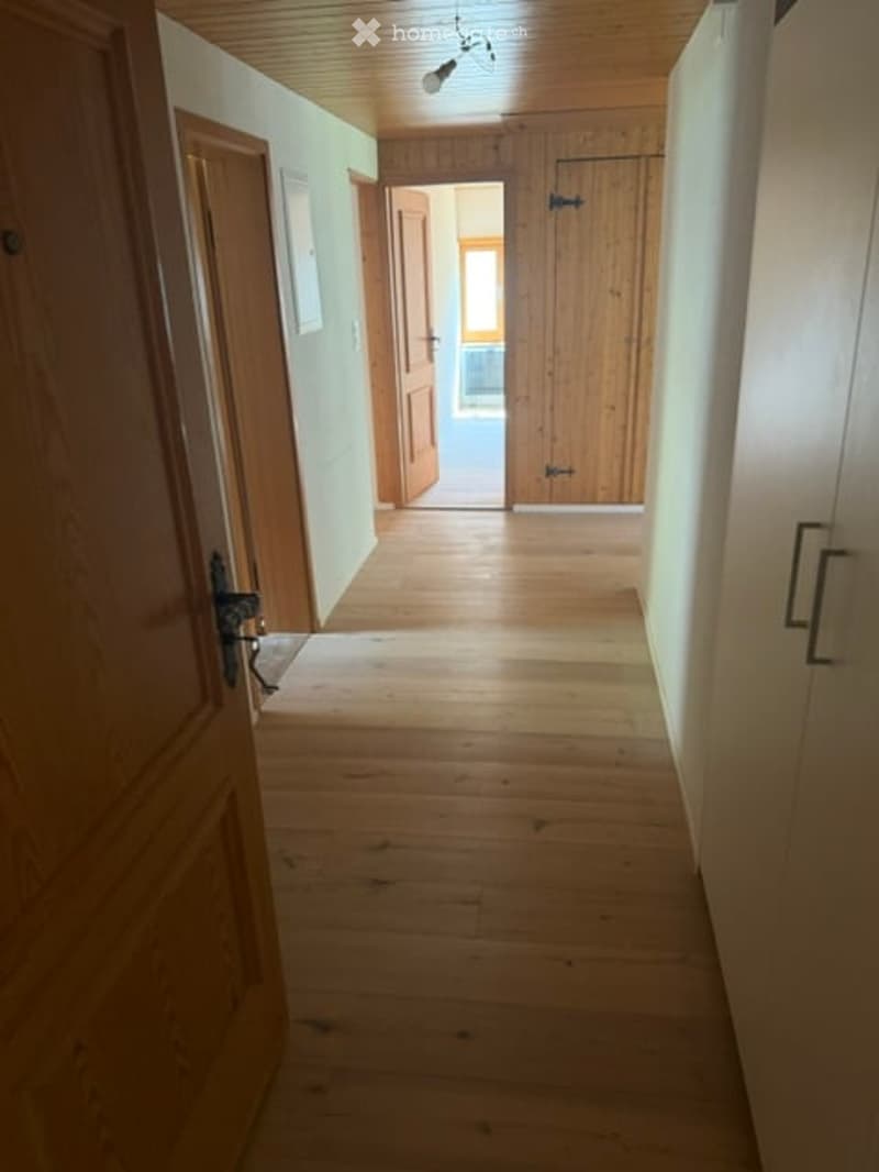 Empty hallway with wooden flooring, light-colored walls, and several wooden doors leading to other rooms.