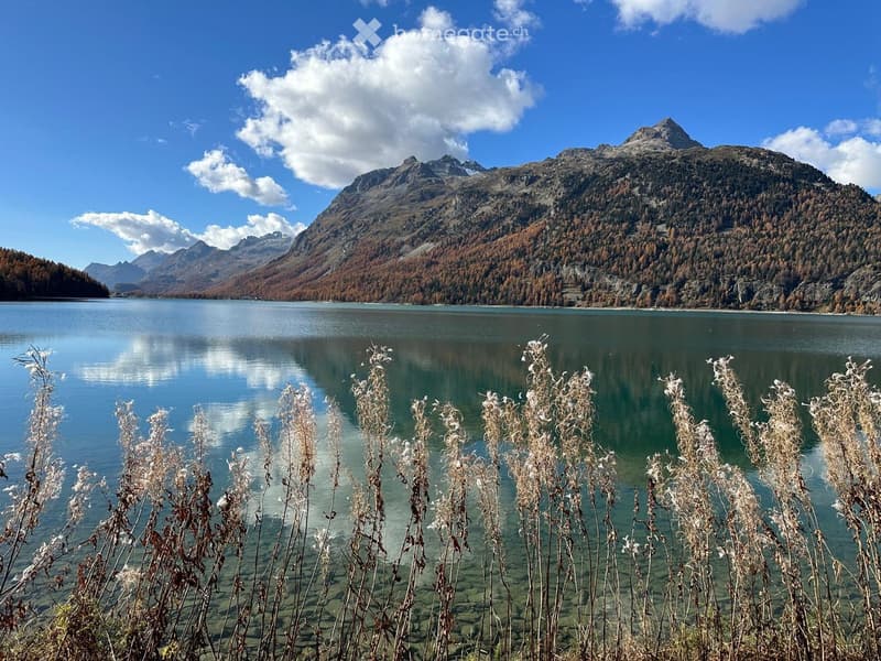 A serene mountain lake surrounded by autumn-colored trees and rocky peaks under a clear blue sky.