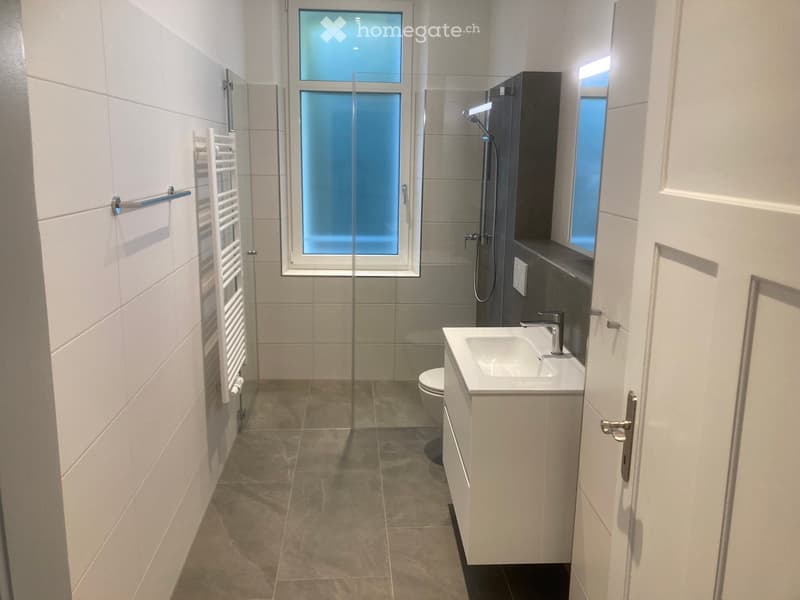 Modern bathroom with a glass-enclosed shower, a white sink with a chrome faucet, a toilet, and a towel rack on the wall.