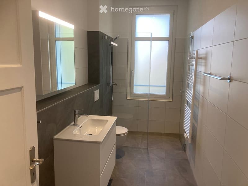 Modern bathroom with a white sink, chrome faucet, large mirror, toilet, glass-enclosed shower, and towel rack.