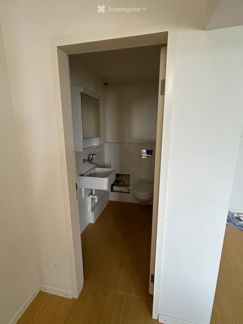 Small bathroom with wooden flooring, white sink, faucet, toilet, mirror, and cabinet.