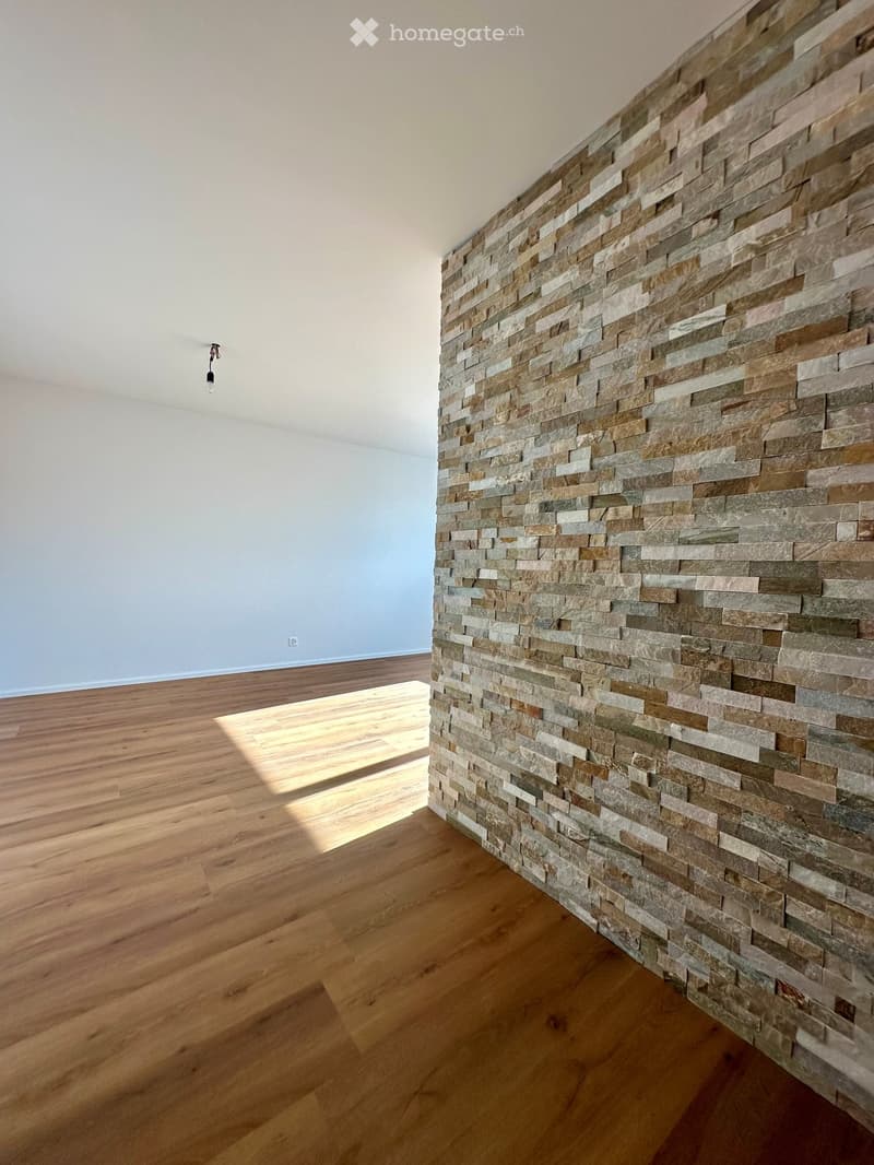 Empty room with wooden floor, white wall, stone wall, and a ceiling light