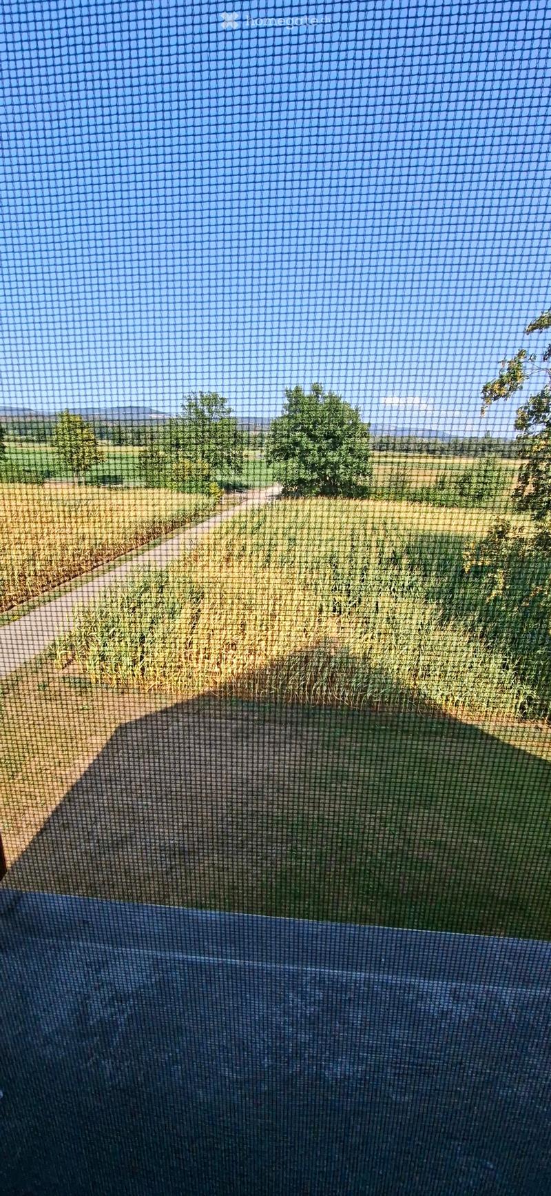 A view through a screen shows a rural landscape with fields, trees, and a clear blue sky.