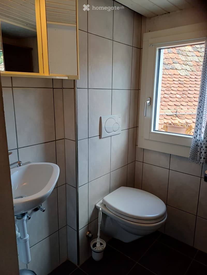 Modern bathroom with white tiles, a toilet, a sink, a mirror, and a small window overlooking a tiled roof.