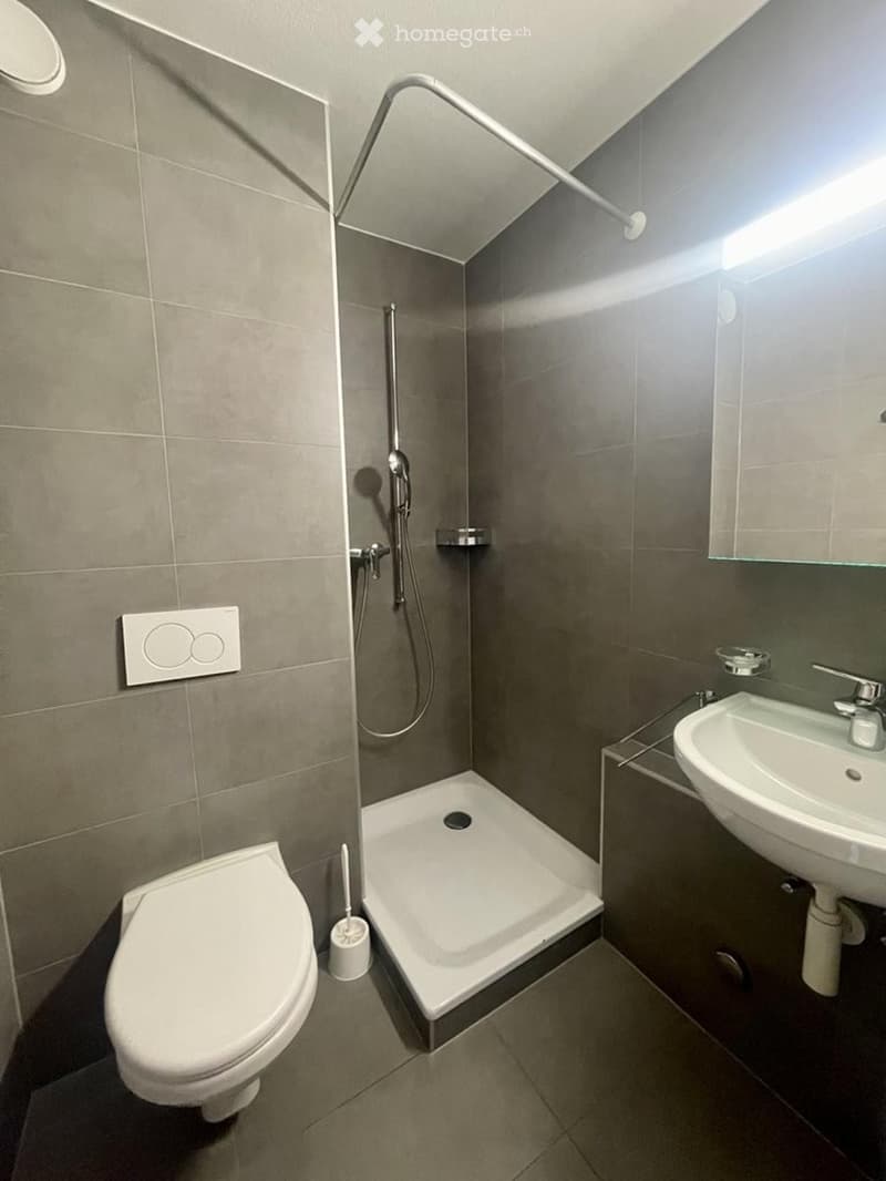 Bathroom with shower cubicle, white sink, toilet, and gray tiles.