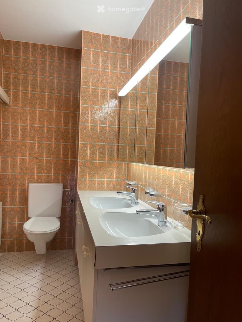 Bathroom with orange patterned tiles, double sink, toilet, and a large mirror above the sink.