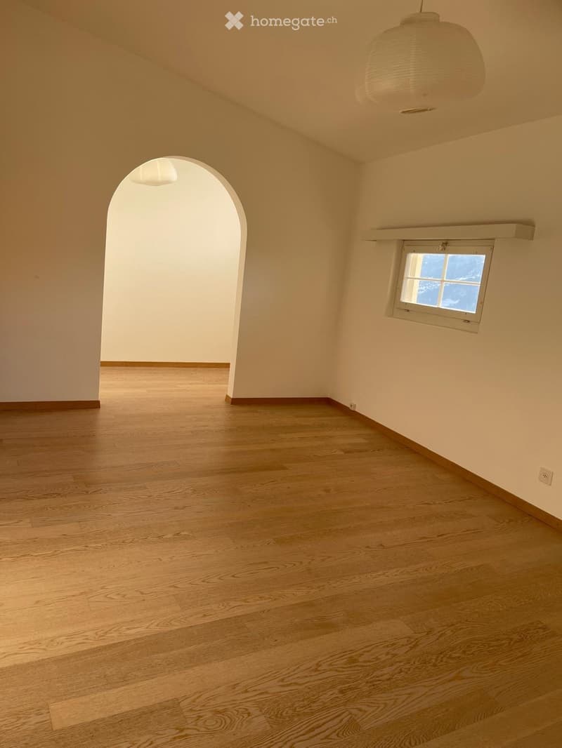 Empty room, hardwood floors, arched doorway, small window, arched ceiling with pendant light, white walls.