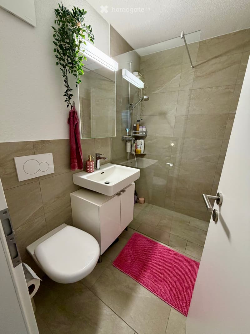 Modern bathroom with a white sink, toilet, and glass-enclosed shower. Features a pink bathmat, a towel, and a decorative plant on the mirror shelf.
