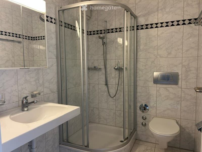 Modern bathroom with a white sink, chrome faucet, mirrored cabinet, glass-enclosed shower stall, and a toilet.