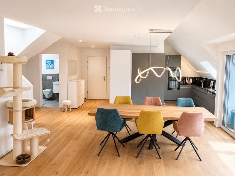 Bright, open-plan living and dining area with wooden flooring, a modern cat tree, a sleek dining table with colorful chairs, and a contemporary kitchen area with gray cabinets and stainless steel appliances.