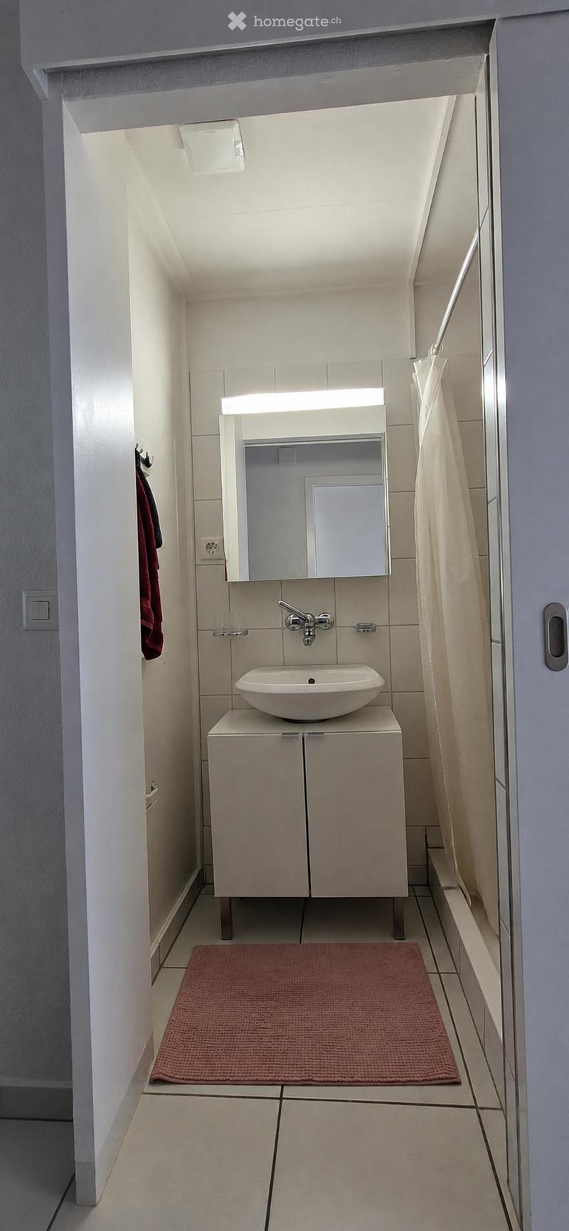 Modern bathroom with a white sink on a cabinet, a mirror with built-in lighting, a towel hanging on the wall, and a red bathroom rug on the floor.