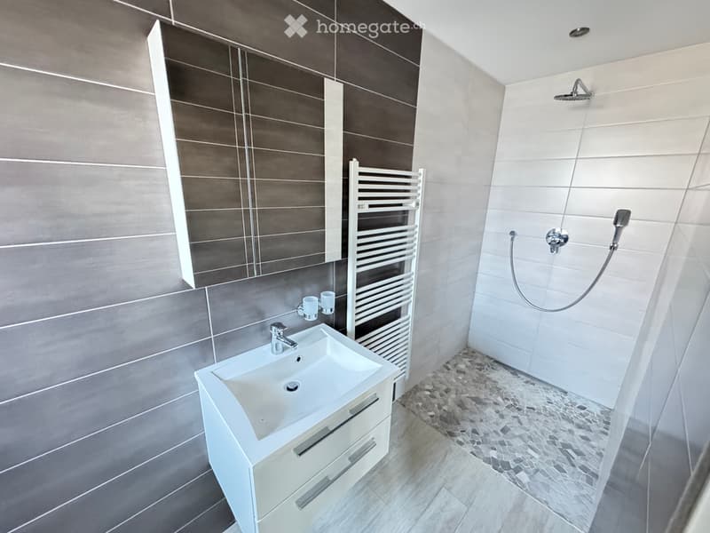 Modern bathroom with a white sink, mirrored cabinet, radiator, and a shower area with a handheld showerhead.