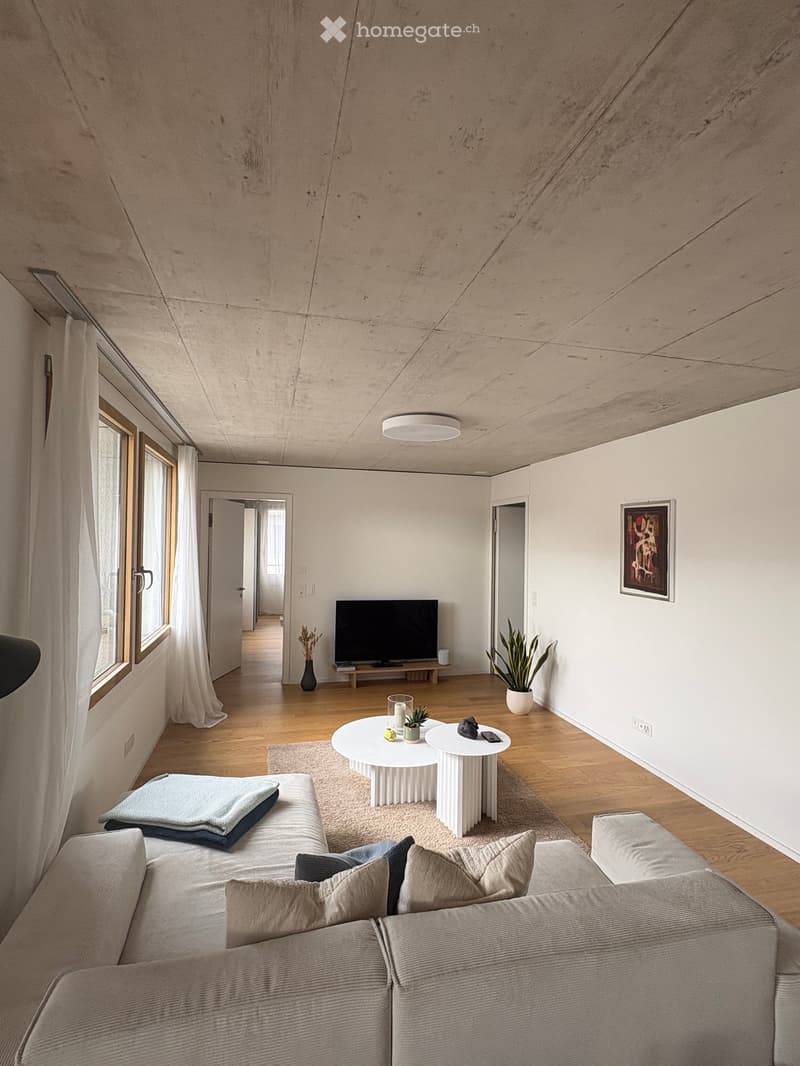 Modern living room with wooden flooring, a grey sectional sofa, a white coffee table, a television on a stand, and decorative plants.