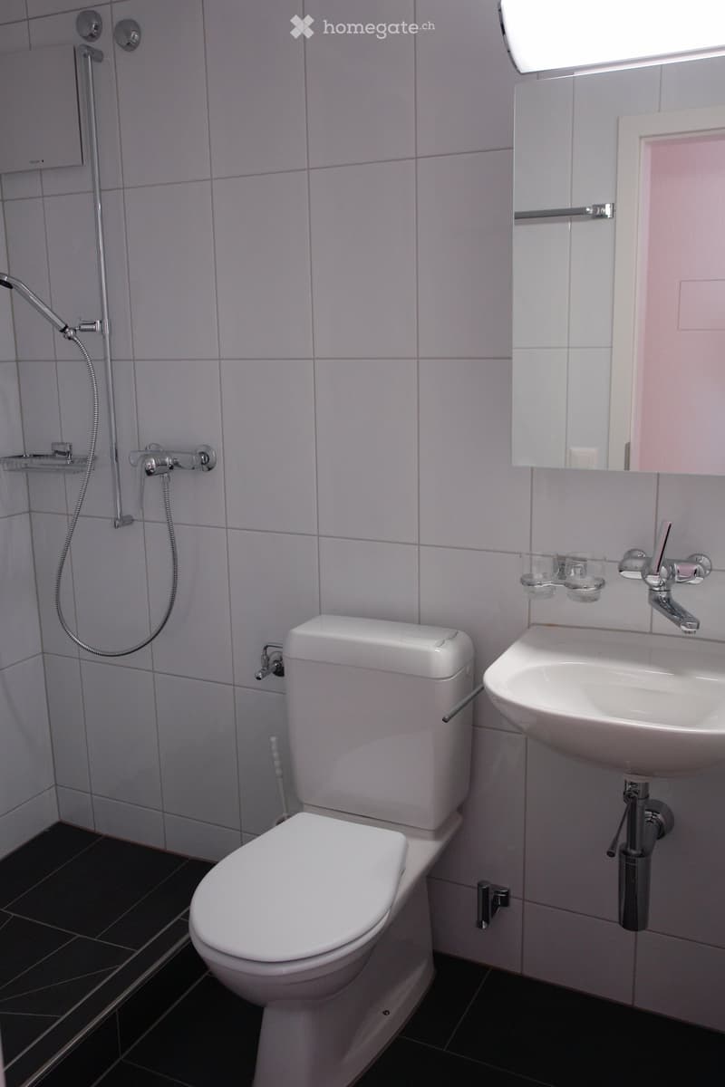Modern bathroom with white tiled walls, a toilet, a sink with a mirror, and a shower hose attached to the wall.