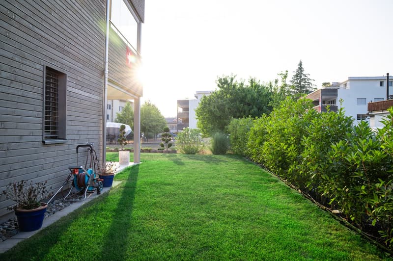 Well-maintained garden with a neatly trimmed lawn, surrounded by various shrubs and potted plants. A hose reel and gardening tools are stored near the house, and the area is bordered by a wooden fence and neighboring buildings.