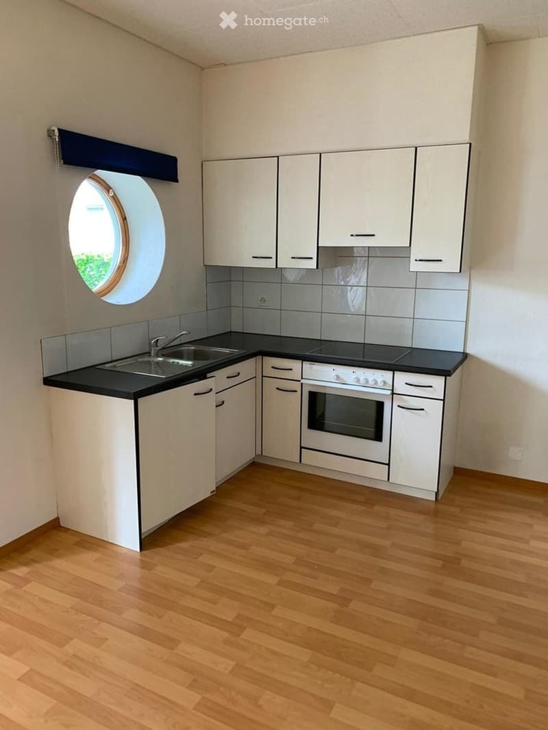 modern white kitchen, electric stove, dishwasher, washing machine, round window, wooden floor