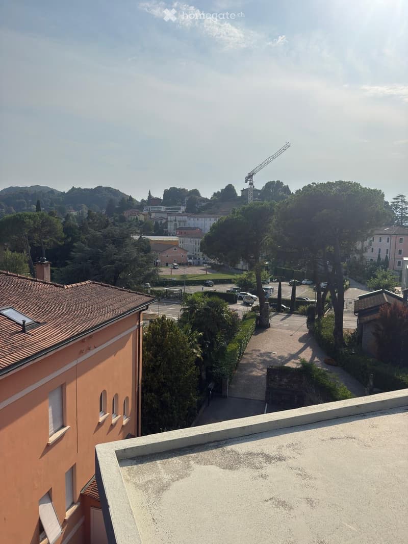 View from a rooftop terrace overlooking a residential area with trees, buildings, and a parking lot.