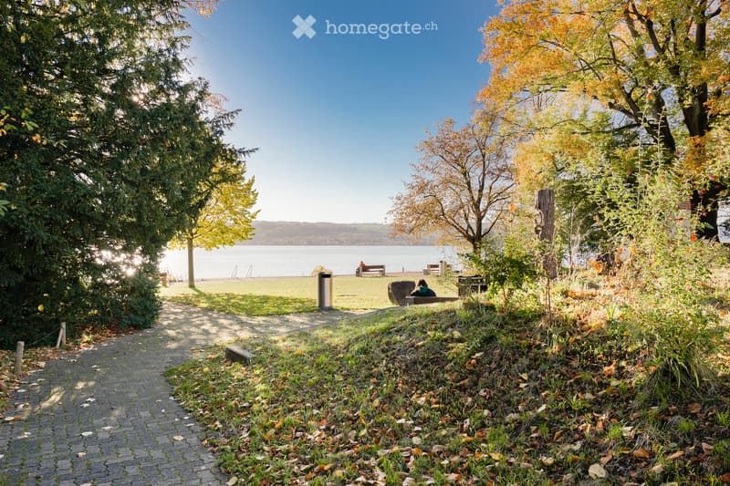 A park area with a paved pathway leading to a grassy area near a body of water, surrounded by trees with autumn foliage. Benches and a trash can are visible in the distance.