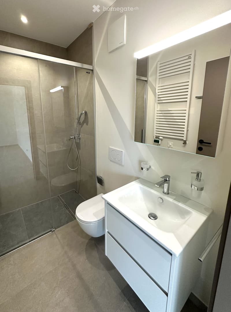 Modern bathroom with a white sink, mirror, radiator, toilet, and glass-enclosed shower with a handheld showerhead.