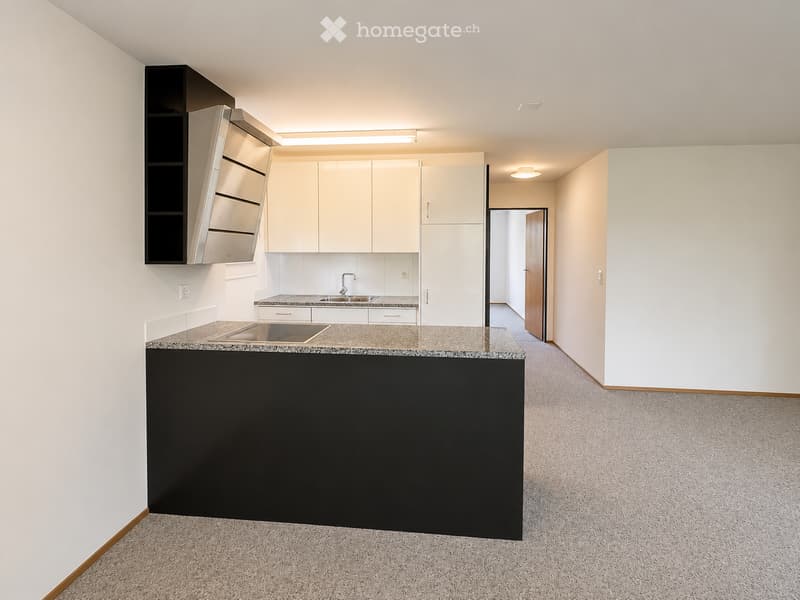 Empty room with a kitchen area featuring white cabinets, a black countertop, and a sink, connected to a carpeted living space with white walls and a wooden door leading to another room.