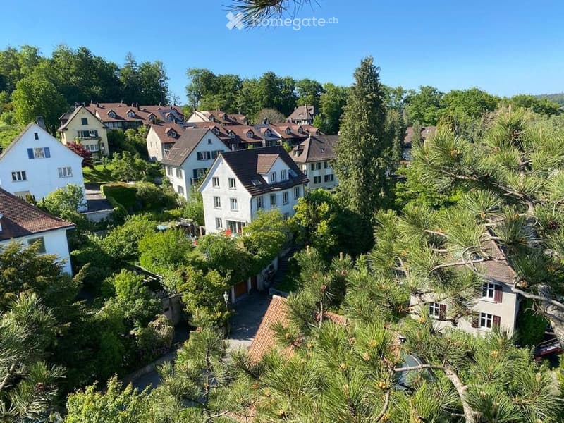 Aerial view of a residential neighborhood with multiple houses, surrounded by lush green trees and well-maintained gardens.