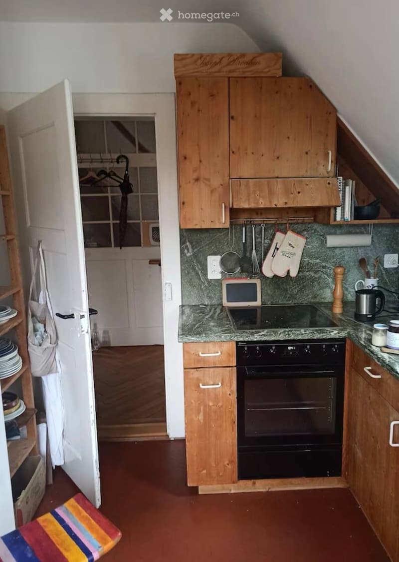 The kitchen features wooden cabinets, a marble countertop, an induction stove, and an oven. There are various kitchen utensils and appliances visible, including oven mitts, a coffee mug, and a small microwave.