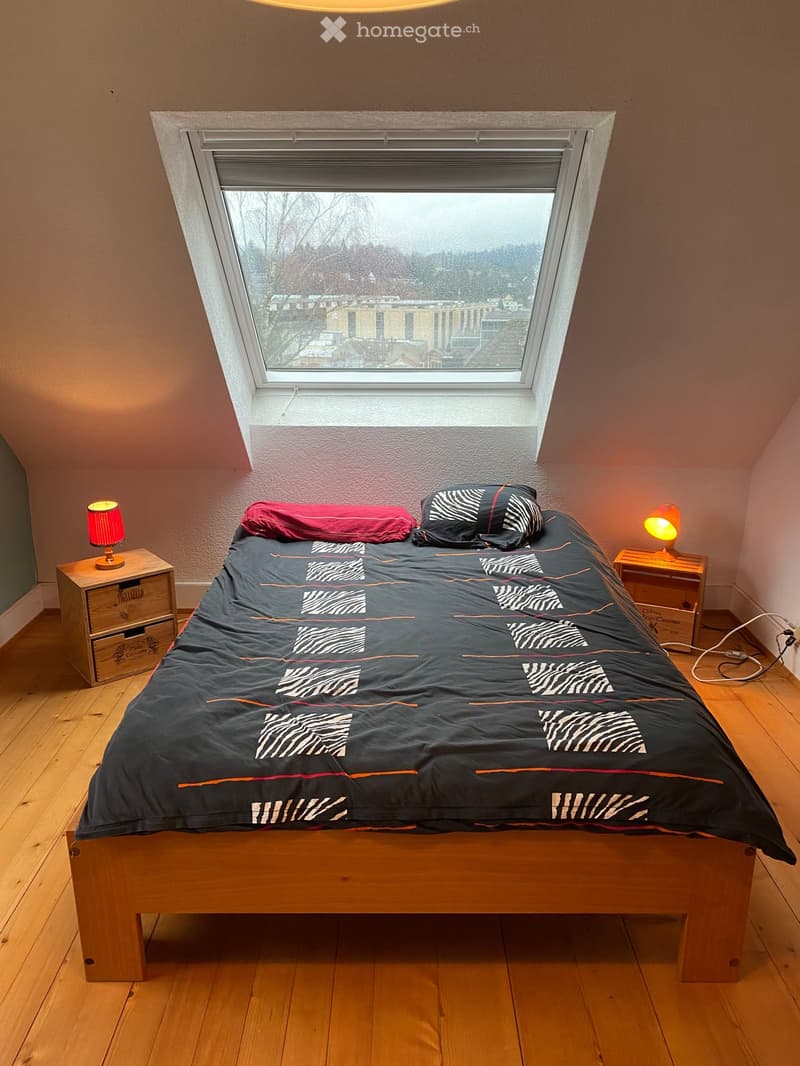 Cozy bedroom with wooden floor, large skylight window, bed with dark blue zebra-patterned duvet, two nightstands with lamps, and a drawer unit.