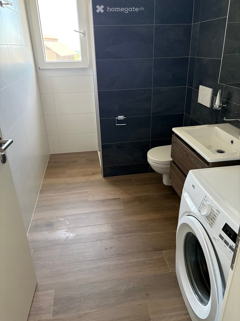 Modern bathroom with wooden flooring, dark blue tiles, toilet, sink, and a white washing machine.