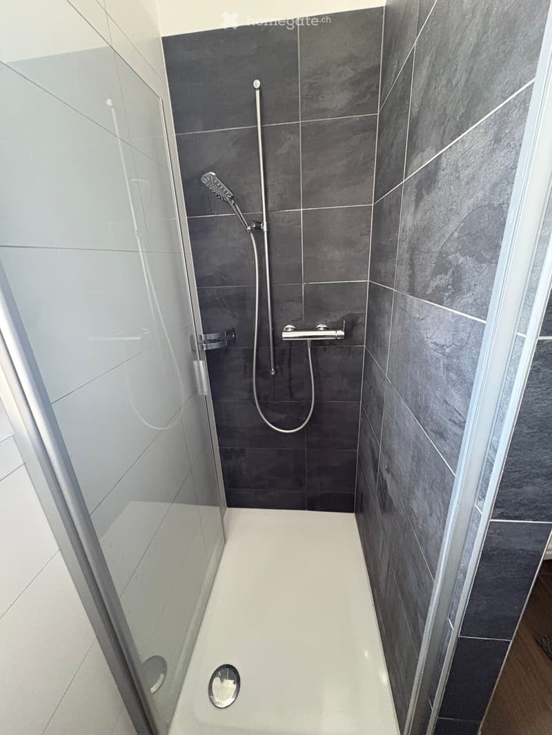Modern shower area with dark grey tiles, glass enclosure, and a handheld showerhead on a rail.