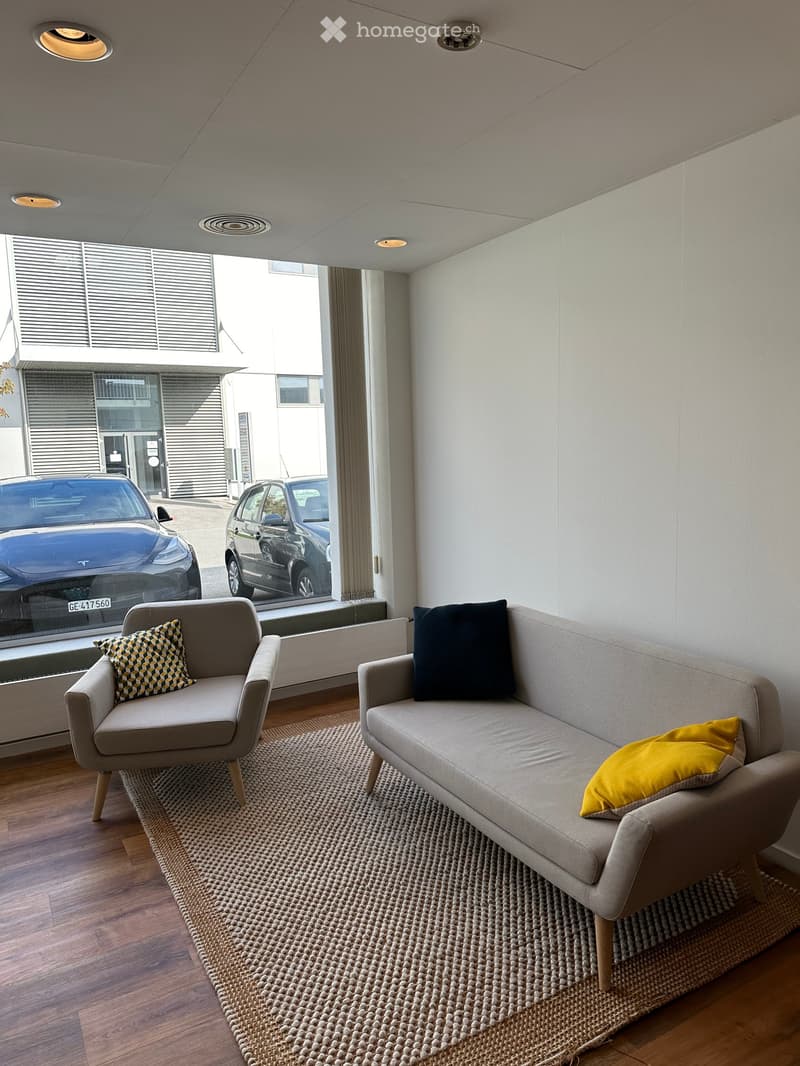 Living room: grey sofa, beige armchair, rug, large window, hardwood floor