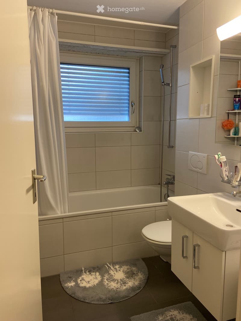 Modern bathroom with a bathtub, toilet, sink, and shower. Features a window with blinds, a shelf with toiletries, and a round rug on the floor.