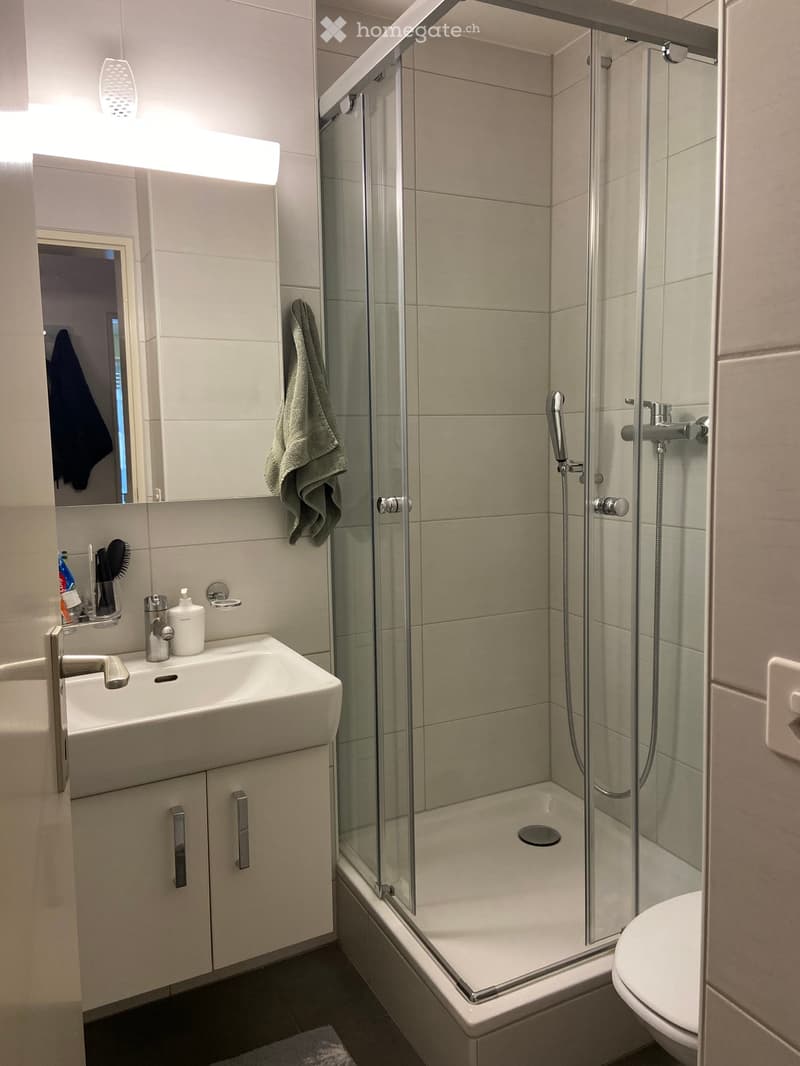 Modern bathroom with a white sink, mirror, shower stall, and toilet. Includes a towel hanging on the wall and toiletries on the sink counter.