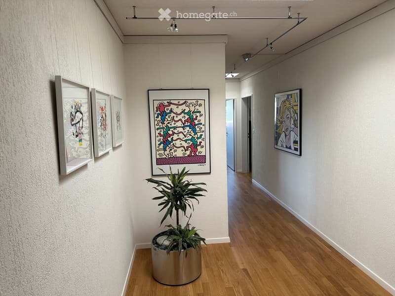 A modern hallway with light wooden flooring, white walls, and several framed artworks displayed on the walls. A potted plant is placed in the center of the hallway.