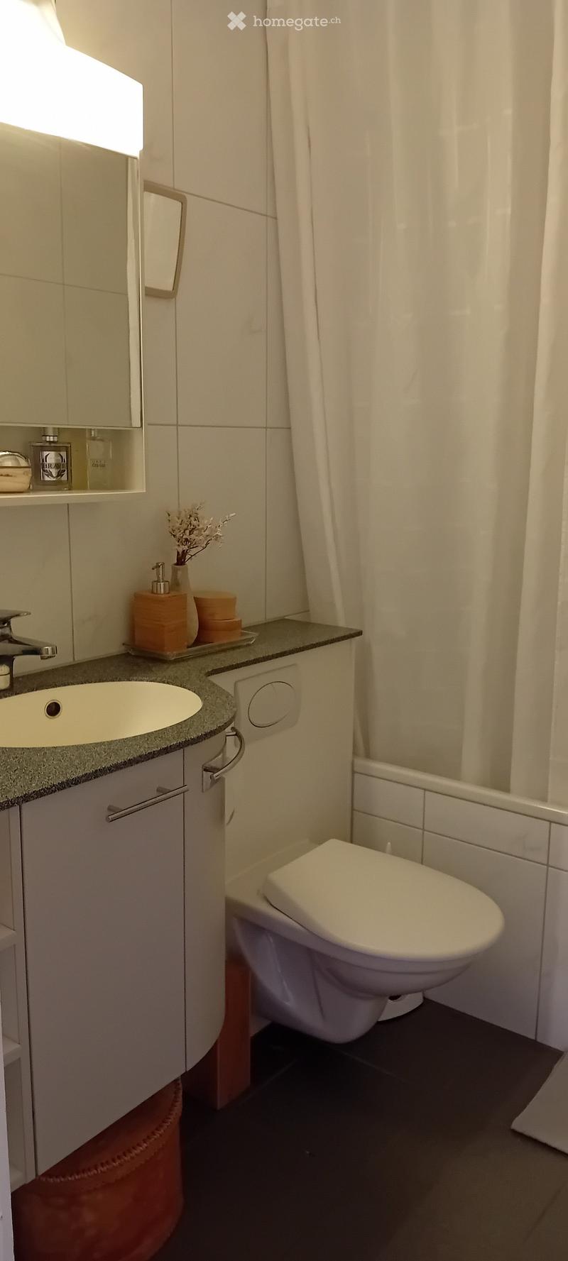 Modern bathroom with a white sink, toilet, mirror, and shower area. Includes a countertop with a soap dispenser, vase, and tray.