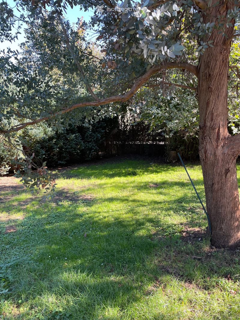 A well-maintained garden with a lush green lawn, surrounded by trees and shrubs, providing a serene outdoor space.