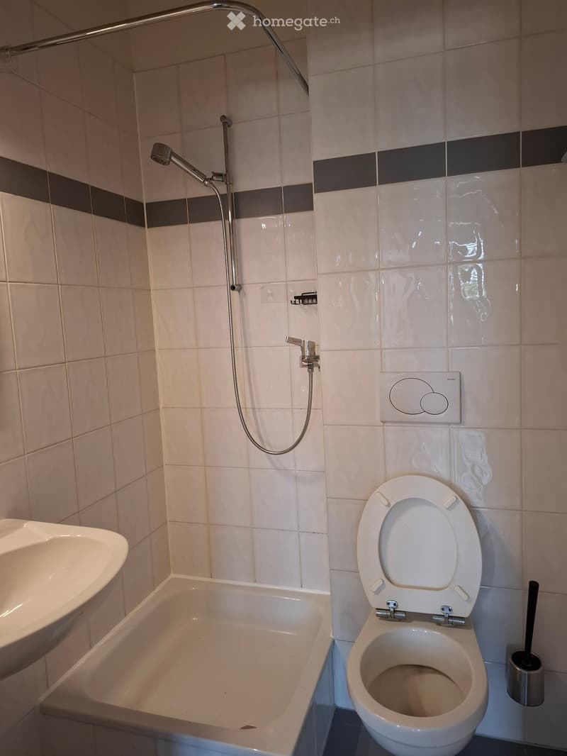 Bathroom with a bathtub, toilet, sink, and toilet brush. Showerhead and controls are visible on the wall.