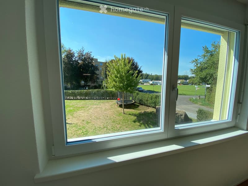 View from a window showing a grassy area with a trampoline, trees, and a road with parked cars.
