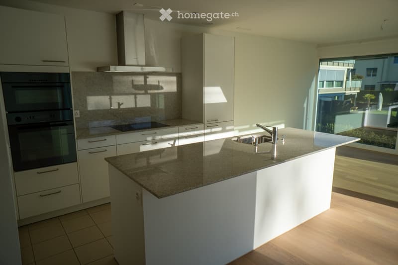 Modern kitchen with white cabinets, granite countertop, stainless steel sink and faucet, built-in oven, and range hood.