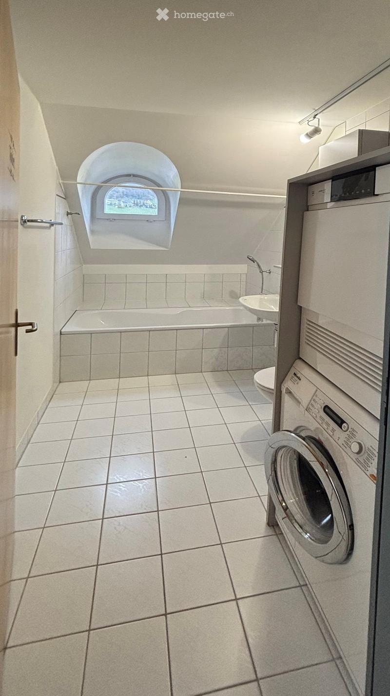 Modern bathroom with a bathtub, toilet, sink, washing machine, and dishwasher. Features a skylight window above the bathtub and tiled walls and floor.