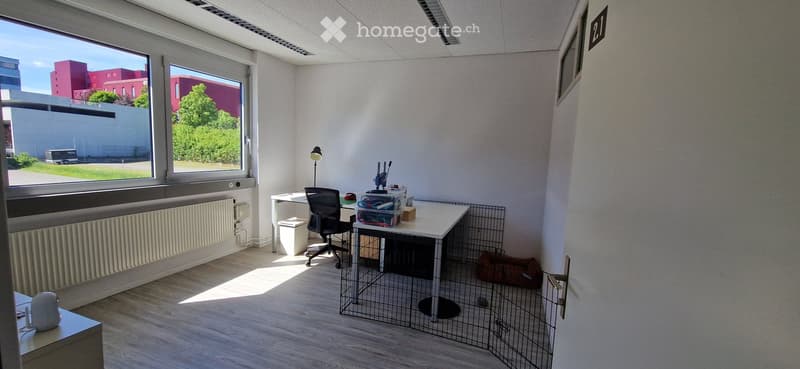 Bright, modern room with large windows, wooden flooring, a desk with a chair, a lamp, storage bins, and a small pet cage.