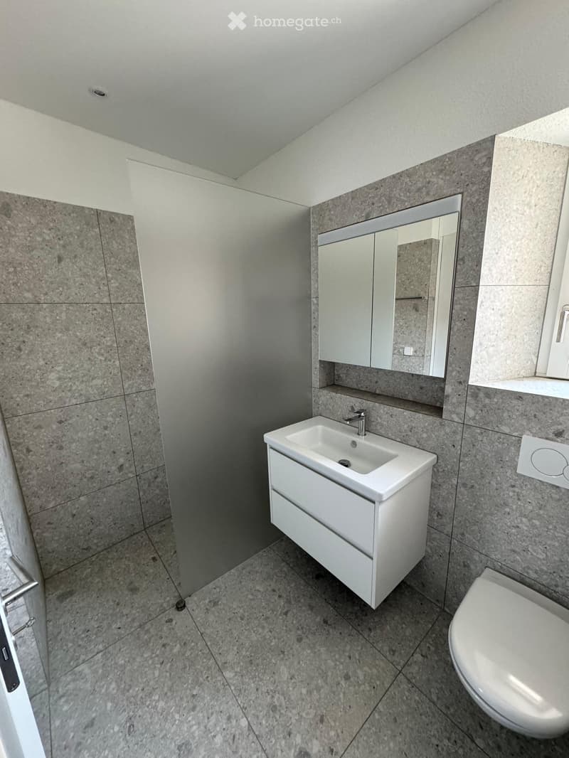 Bathroom: tile flooring, large sink, mirror, shower area, toilet, modern design