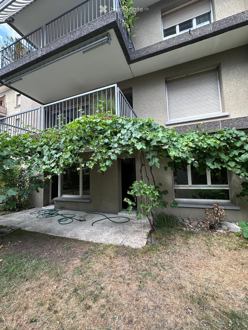 Garden area with a concrete patio, green vines climbing on the building, a metal railing, and a grassy lawn.