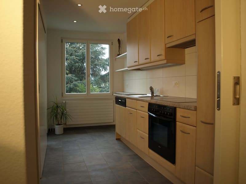 Modern kitchen with light wooden cabinets, stainless steel appliances, and a large window overlooking greenery.