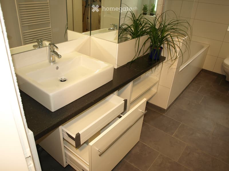 Modern bathroom with a white sink, chrome faucet, black countertop, open cabinet, bathtub, and a potted plant on the edge.