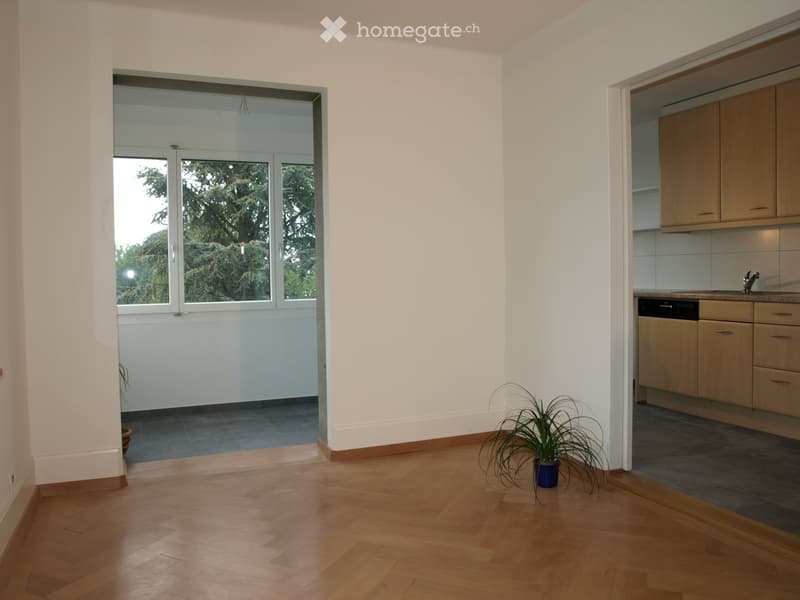 Bright, open living space with wooden flooring, large windows, and a view of greenery. A small potted plant is placed near the entrance to the kitchen area.